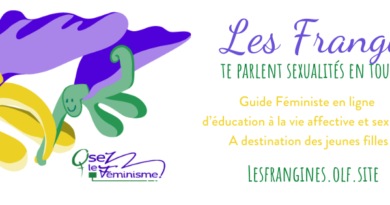 Les Frangines : Le Guide Féministe D’éducation À La Vie Affective Et Sexuelle