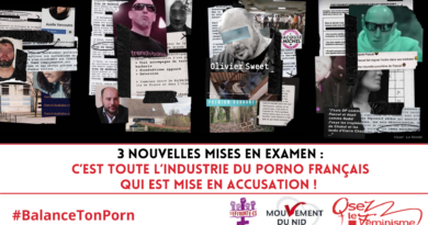 C’est toute l’industrie du porno français qui est mise en accusation !