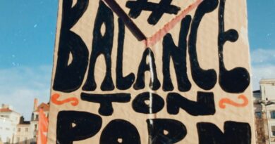 Tribune Européenne : Contrôle d’âge sur les sites pornographiques : un enjeu majeur de santé publique et de protection des mineur·es Tribune Européenne : Contrôle d’âge sur les sites pornographiques : un enjeu majeur de santé publique et de protection des mineur·es