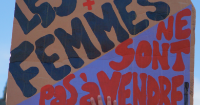 Rouvrir les maisons closes et légaliser l’achat d’actes sexuels, un projet d’extrême droite antiféministe et raciste Rouvrir les maisons closes et légaliser l’achat d’actes sexuels, un projet d’extrême droite antiféministe et raciste