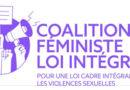 Lutte contre les violences sexuelles : la Coalition pour une loi cadre intégrale salue trois avancées majeures la semaine passée